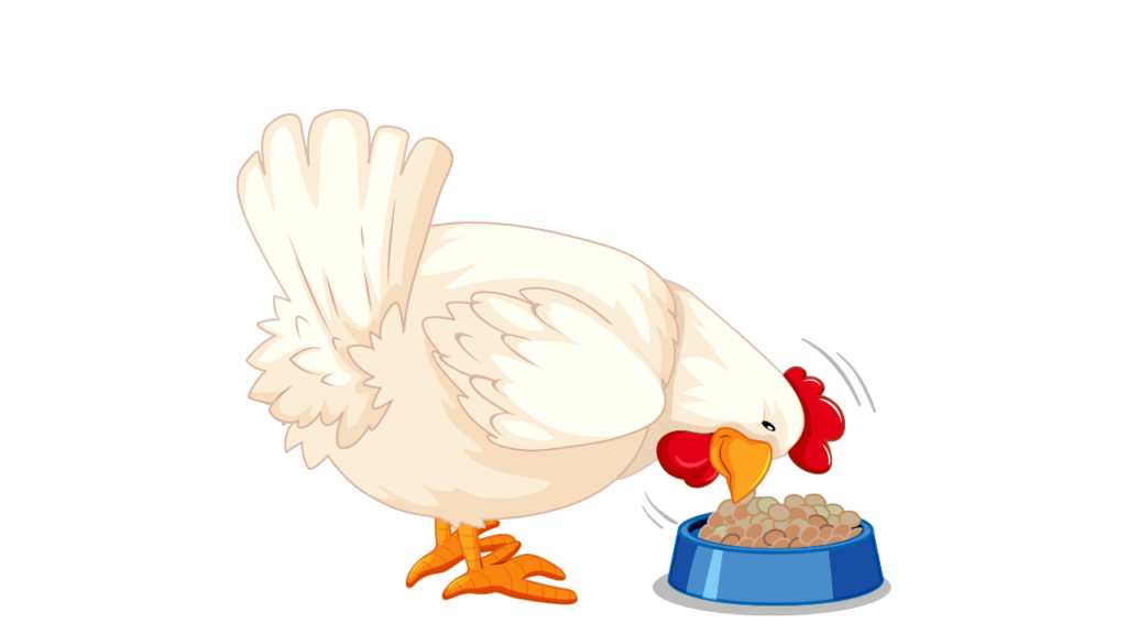 benefits-of-feeding-chicken-treats